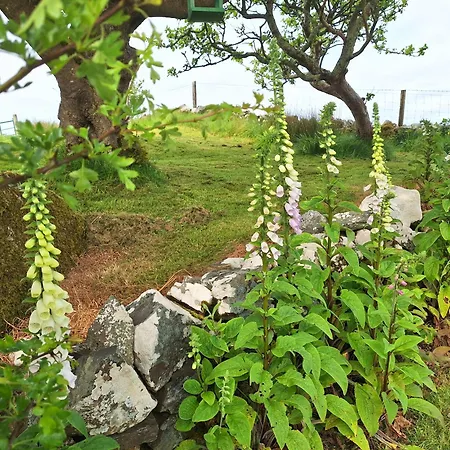 Cuach Clifden